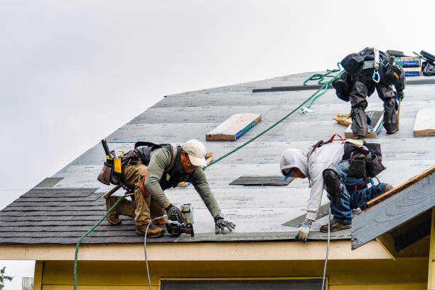 Professional Emergency Roof Repair technician working in Wasco, IL